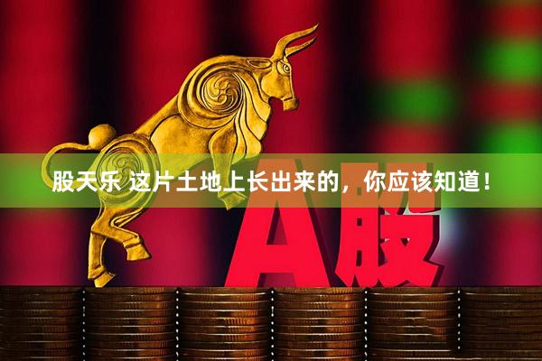 股天乐 这片土地上长出来的，你应该知道！
