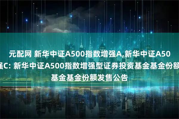 元配网 新华中证A500指数增强A,新华中证A500指数增强C: 新华中证A500指数增强型证券投资基金基金份额发售公告
