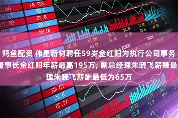 鳄鱼配资 伟星新材聘任59岁金红阳为执行公司事务的董事, 董事长金红阳年薪最高195万, 副总经理朱晓飞薪酬最低为65万