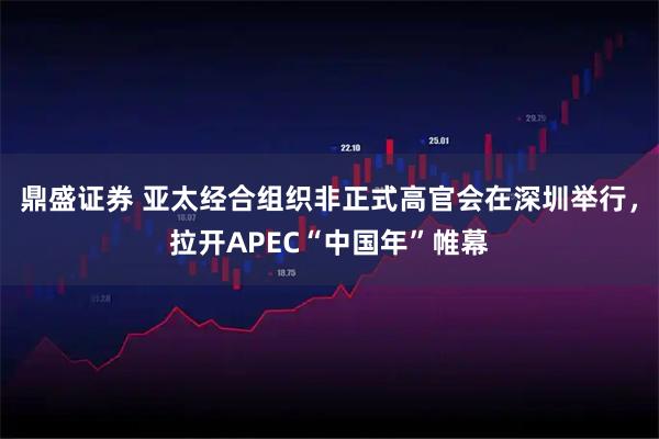 鼎盛证券 亚太经合组织非正式高官会在深圳举行，拉开APEC“中国年”帷幕